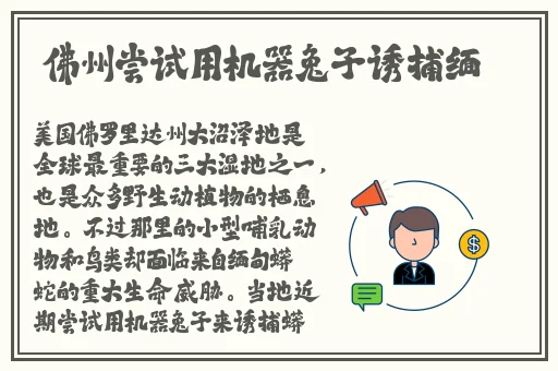 欧产日产水蜜桃